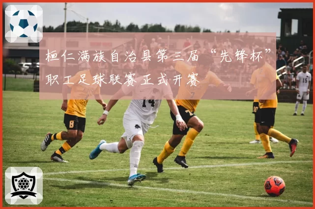 桓仁满族自治县第三届“先锋杯”职工足球联赛正式开赛