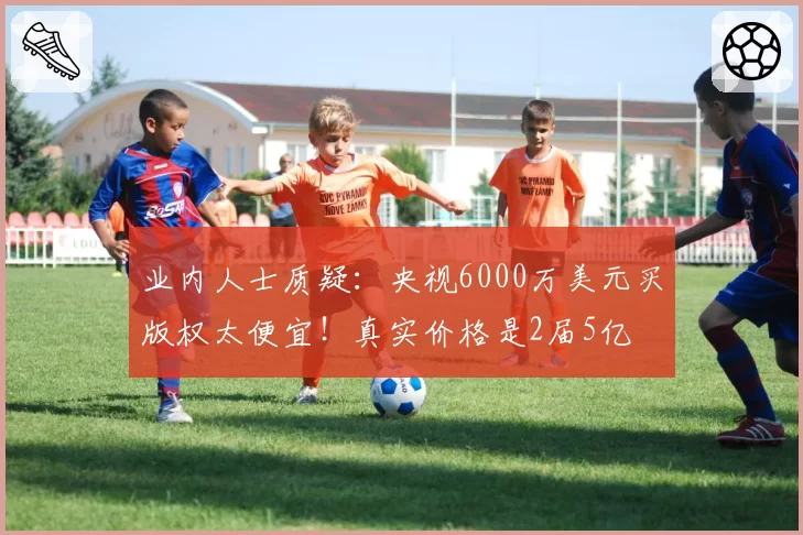 业内人士质疑:央视6000万美元买版权太便宜!真实价格是2届5亿